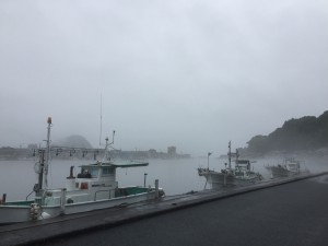 霧の雁嶋