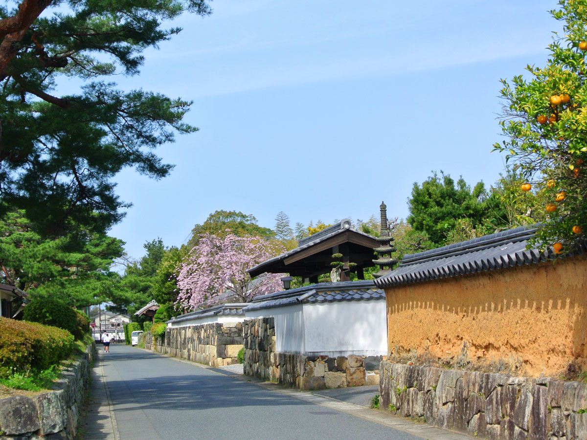 【世界遺産／萩城下町散歩】の画像