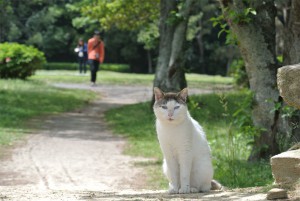 石彫公園のジロー