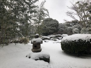 雪の桂月