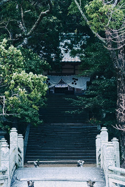 青々とした木々に囲まれた石段の先にたたずむ、趣ある神社の境内入口
