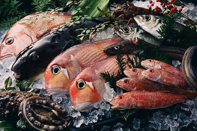 赤い鱗が輝く甘鯛やアワビなど新鮮な魚達