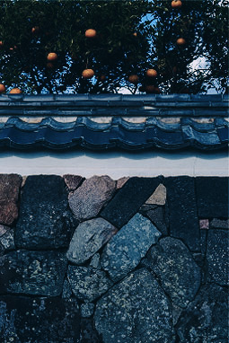 A view of a private house with garden trees bearing ripe persimmon fruits and traditional stone walls and tiled roofs in harmony
