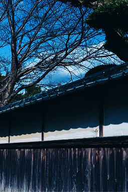 A corner of a Japanese house with impressive white walls and black-painted board fence that evokes a sense of history