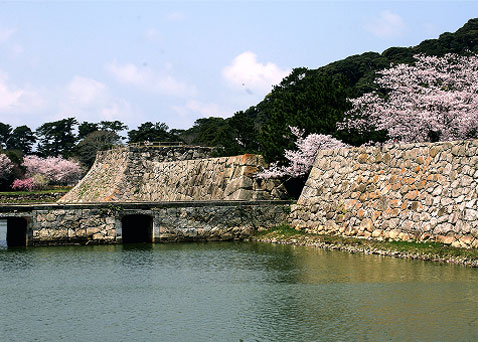 Historic castle ruins with stone walls and moat still standing, bridge and waterfront view