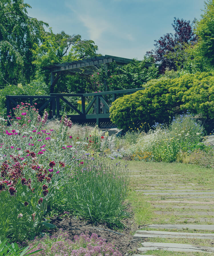 豊かな緑と赤やピンクなど様々な花に囲まれた庭園の小道。