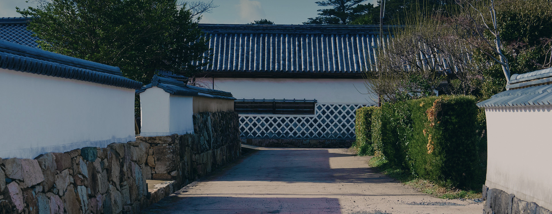 生け垣や昔ながらの白壁の建物が並ぶ道